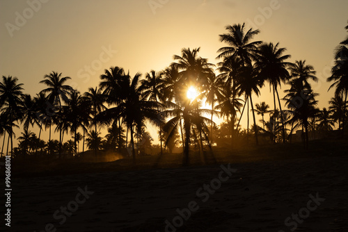 sunset at the beach