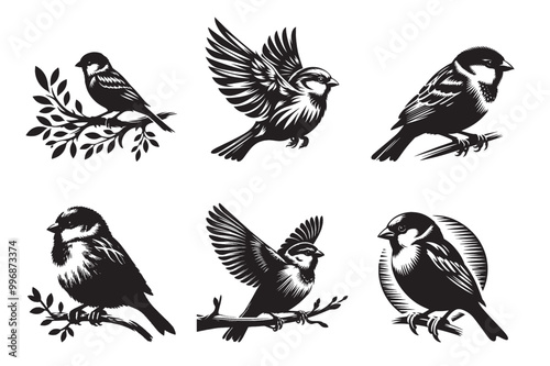 Sparrow 1.eps
