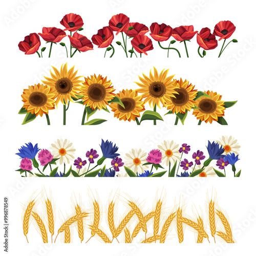 Set of floral border or flower, sunflower arrangement. Vector frame with poppies and spikelet, papaver and wheat. Summer poppy blossom. Agriculture and agronomy, nature and plant field background