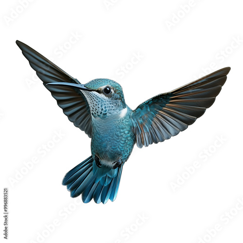 Detailed photo of a blue hummingbird in midflight with spread wings against a transparent background photo