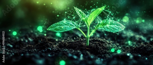 Enhanced Plant Growth with Futuristic Technology