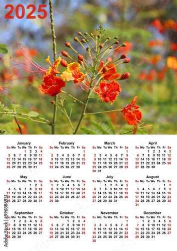 2025 Calendar Printed 300 DPI with Illustration, American Grid