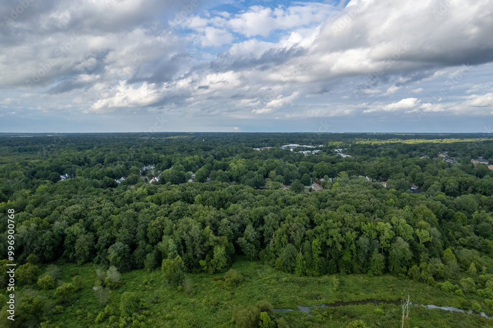 A lush green forest with a cloudy sky in the background. Richmond, USA A lush green forest with a cloudy sky in the background. Richmond, USA