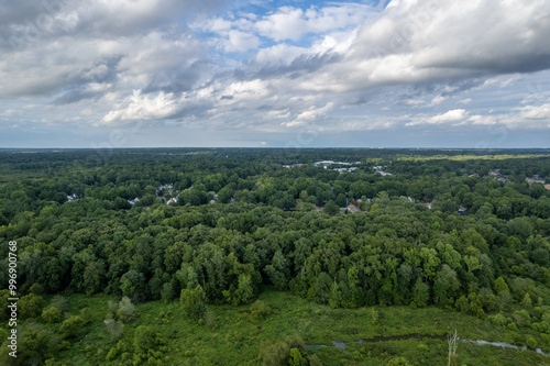 A lush green forest with a cloudy sky in the background. Richmond, USA