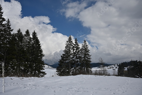 Near Folgaria in Trentino