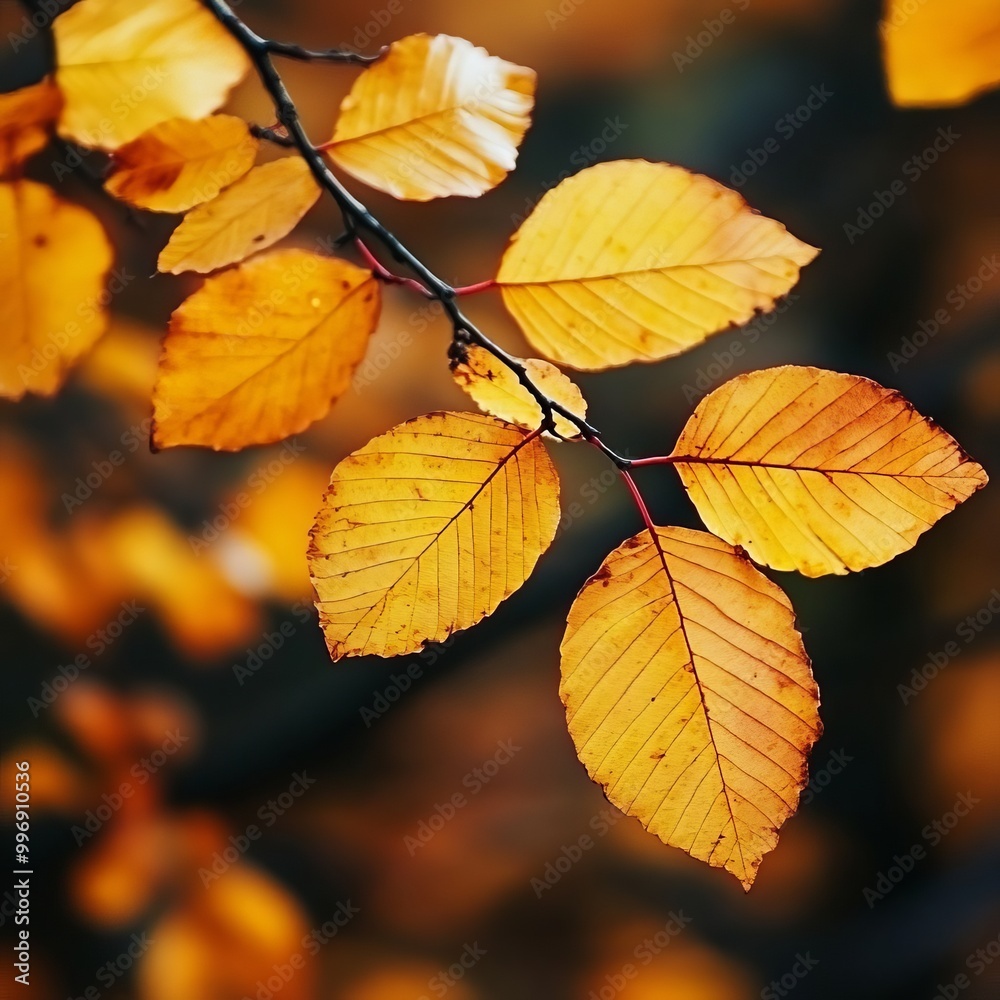 Obraz premium autumn leaves webpage banner image