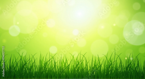 green grass background