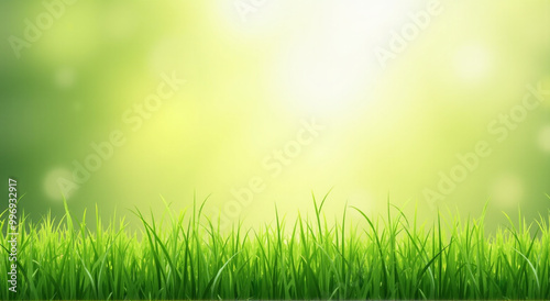 green grass background