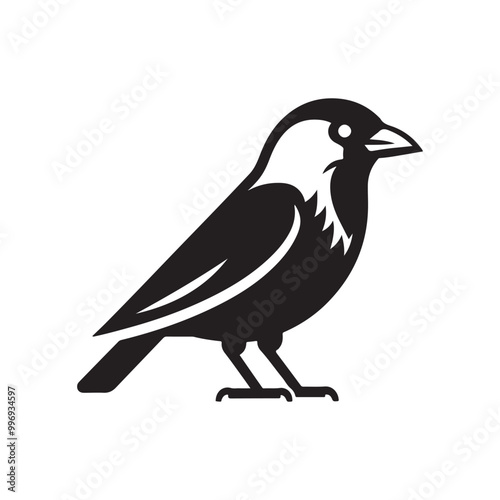 Stylish Jackdaw Silhouette Vectors: Ideal for Creative Design Projects