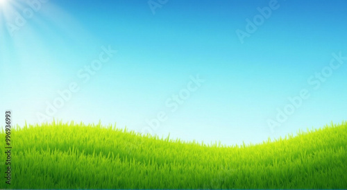 green grass and blue sky