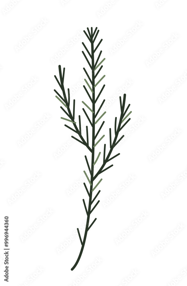Thin fir branch. Winter greenery. Evergreen plant illustration.
Christmas decoration. Thin fir branch. Winter greenery. Evergreen plant illustration.
Christmas decoration.