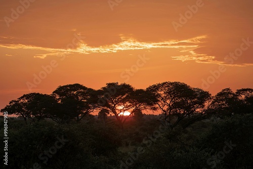 sunrise above the landscape of Murchison falls National park in Uganda