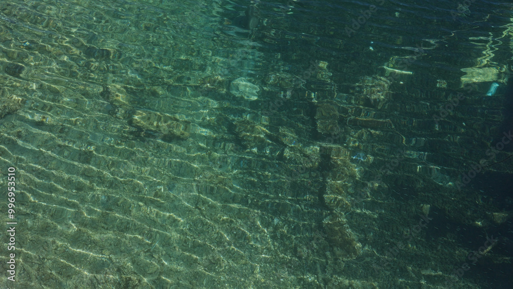Naklejka premium Clear, shallow waters with visible underwater rocks and marine life at pescoluse beach, salento, puglia, italy.
