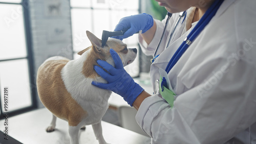 A female veterinarian examines a chihuahua at a veterinary clinic, showcasing attentive care in an indoor medical setting with professional equipment. photo