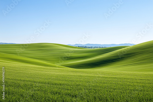 Endless Rolling Fields of Lush Green Grass Under an Expansive Blue Sky, Inviting a Sense of Freedom and Serenity