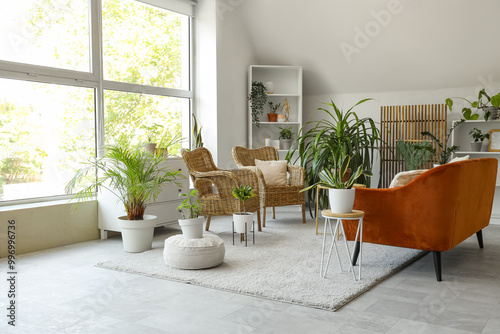 Interior of light living room with green houseplants, sofa and wicker armchairs