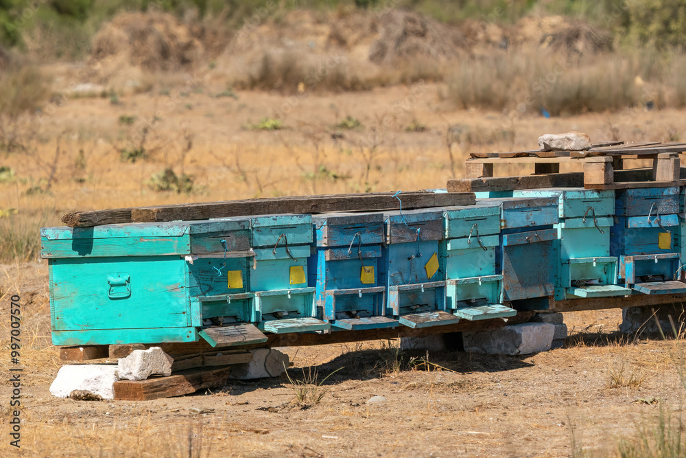 Beehives set up on a field in Antalya, Turkey Beehives set up on a field in Antalya, Turkey