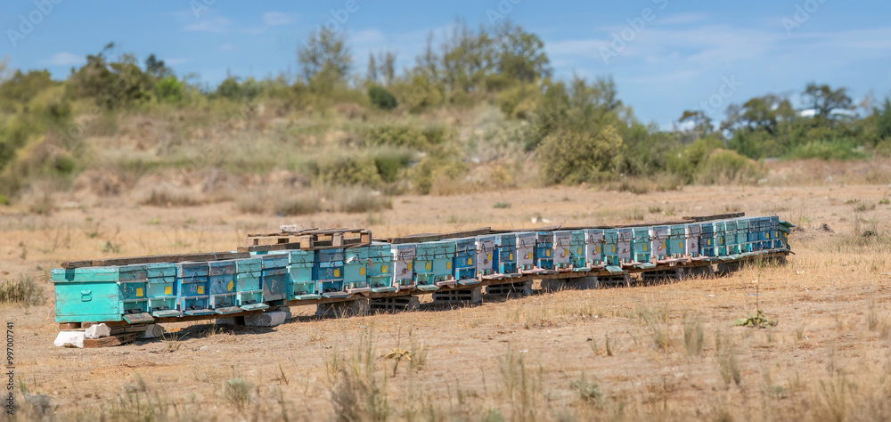 Beehives set up on a field in Antalya, Turkey