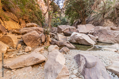 View of Wadi Lajab canyon, Saudi Arabia photo