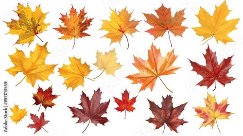 Fall and autumn leaves isolated on a white background collection Aİ Generative