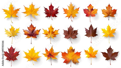 Fall and autumn leaves isolated on a white background collection Aİ Generative