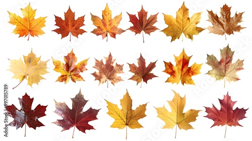 Colorful Autumn falling leaves isolated on transparent background. Ai Generative 