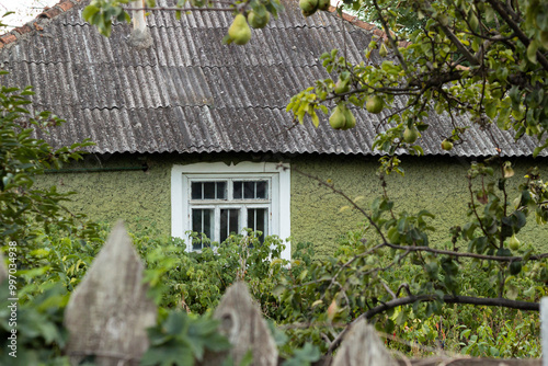 Old house with a slate roof with an old wooden fence and an old pear tree.