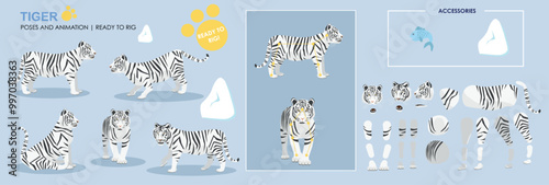 Cute snow Tiger ready for animation multiple poses set collection with with accessories, rig ready character, zoo, safari animals 