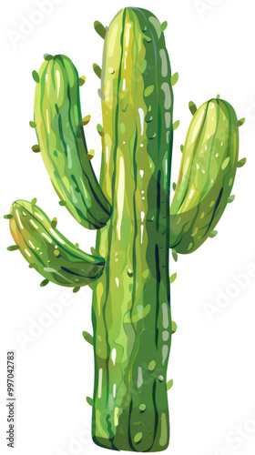 Set of watercolor green cactus isolated on transparent background. Desert flower, garden plant, tropical summer elements