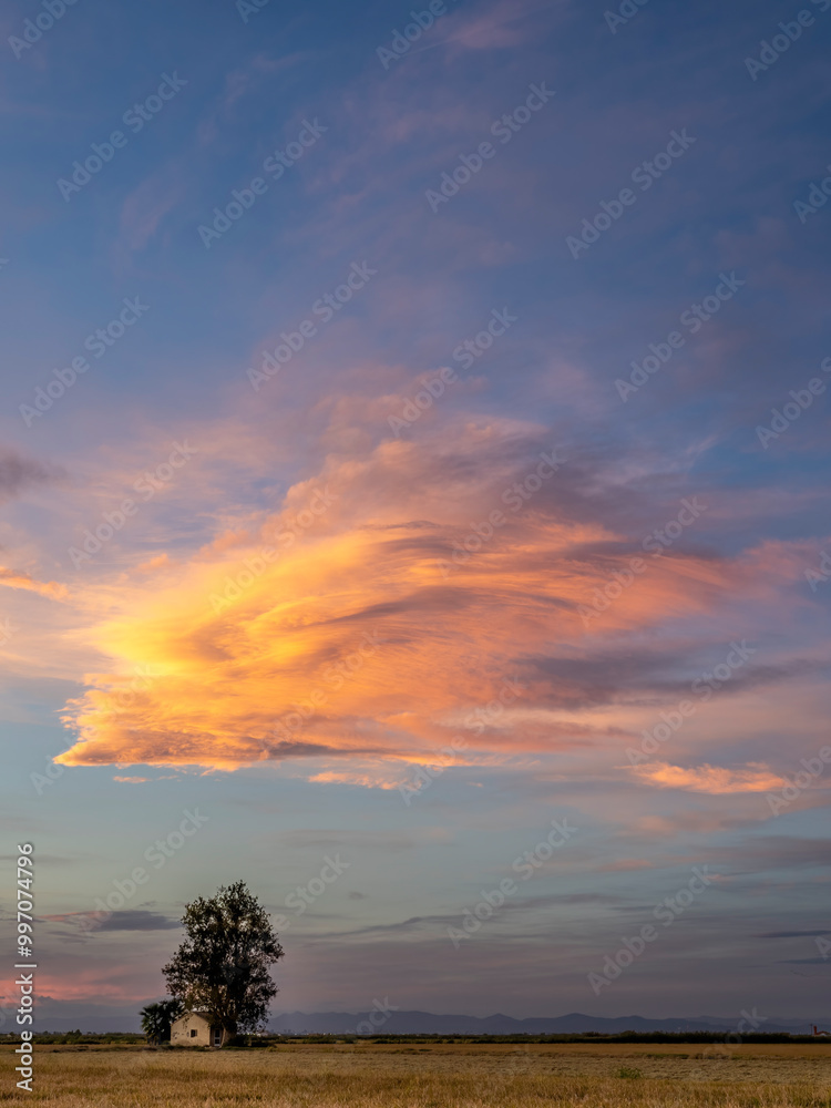 Sunset around the Albufera of Valencia (Spain) Sunset around the Albufera of Valencia (Spain)