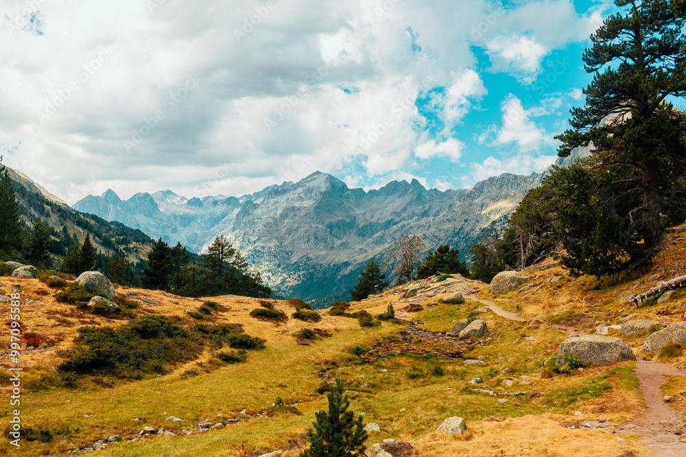 Fototapeta premium Scenic mountain landscape in the Pyrenees with hiking trail, pine trees and dramatic sky, ideal for travel, adventure, tourism, nature, and outdoor lifestyle concepts