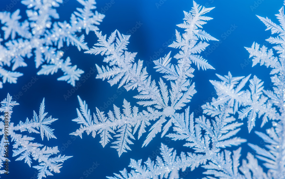 Beautiful background image of hoarfrost in nature close up Beautiful background image of hoarfrost in nature close up