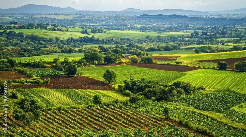 Vibrant agricultural fields stretch far into the rural landscape, filled with lush greenery and promising growth. Vibrant agricultural fields stretch far into the rural landscape, filled with lush greenery and promising growth.