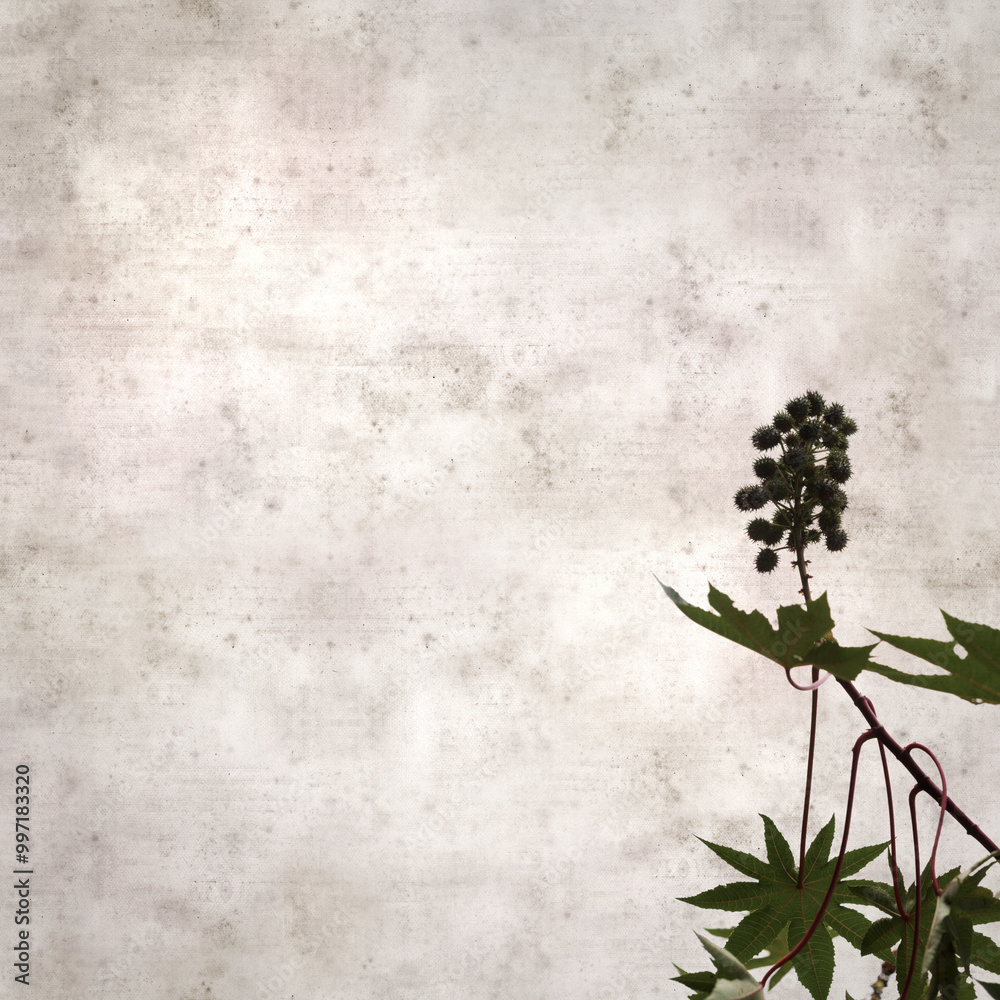 stylish square textured old paper background with Ricinus communis, the castor bean plant stylish square textured old paper background with Ricinus communis, the castor bean plant