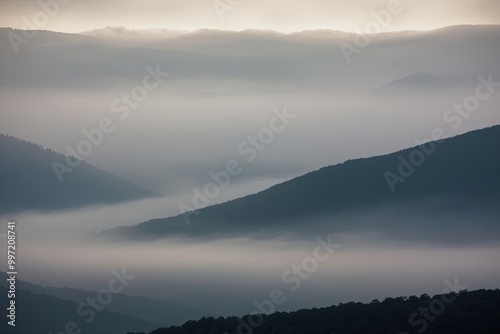 Mountain Fog Clouds Haze Gray Texture in a Subtle Landscape