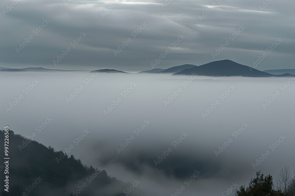Fototapeta premium Calm Gray Mist Background with Soft Cloud Texture for Tranquil Aesthetic
