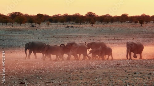 A herd of African elephants congregate around a waterhole at dusk in Etosha National Park, Namibia, Africa.
