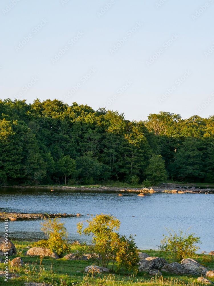 Beautiful lake shore in summer. Landscape photography. Beautiful lake shore in summer. Landscape photography.
