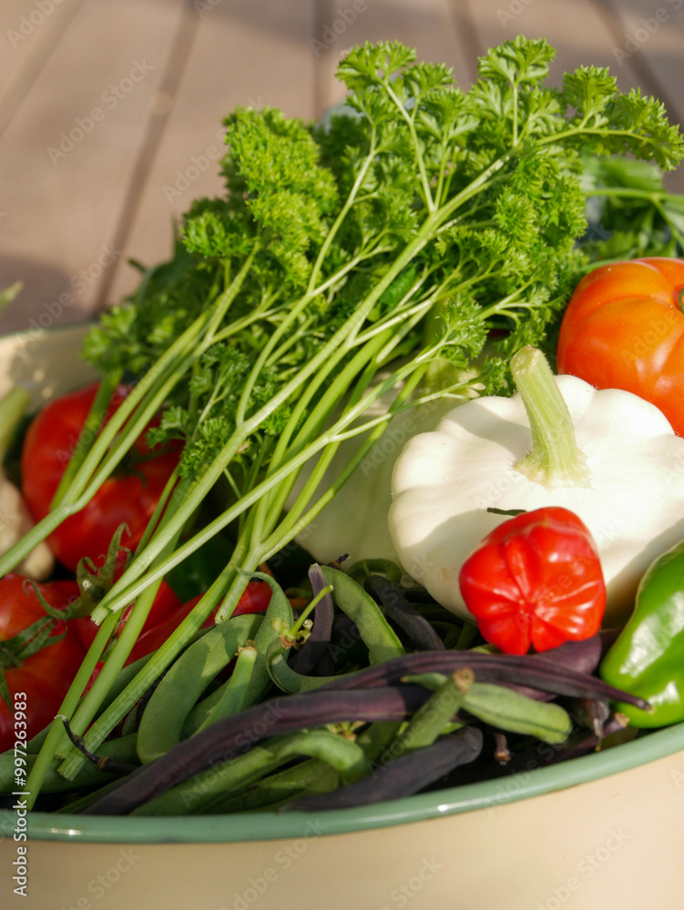 Bowl filled with newly harvested produce. Home grown and organic vegetables. Tomatoes, zucchini, parsley, flowers, apples, pears, beans, peppers, chillies and kale. Bowl filled with newly harvested produce. Home grown and organic vegetables. Tomatoes, zucchini, parsley, flowers, apples, pears, beans, peppers, chillies and kale.