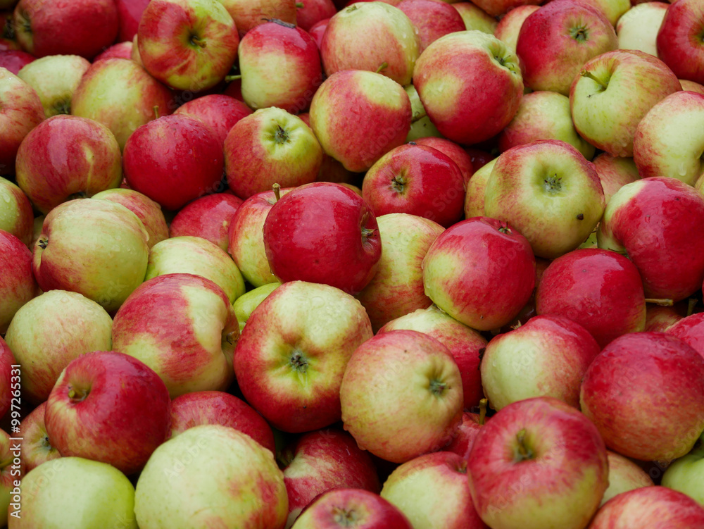 Lots of red apples Lots of red apples