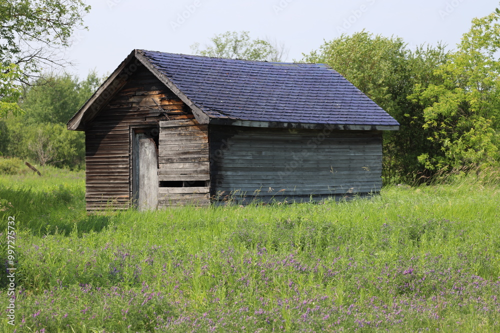 abandoned farm utility building or shed in overgrown grass abandoned farm utility building or shed in overgrown grass