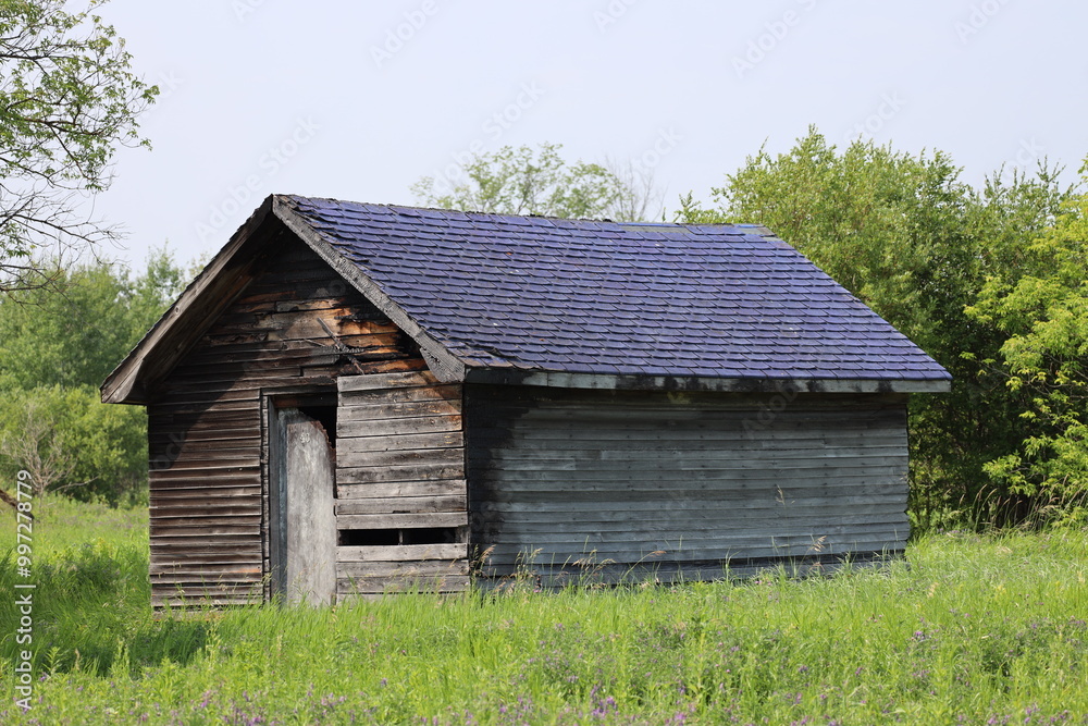 closeup abandoned farm utility building or shed in overgrown grass