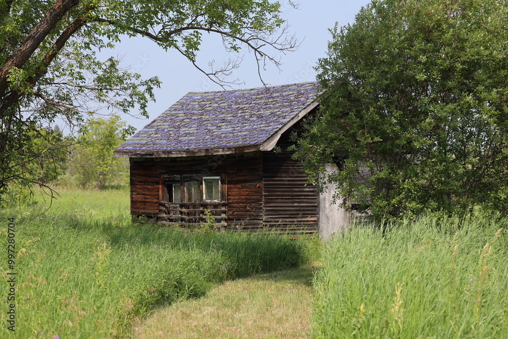 small rustic wooden cabin tucked in clearing small rustic wooden cabin tucked in clearing