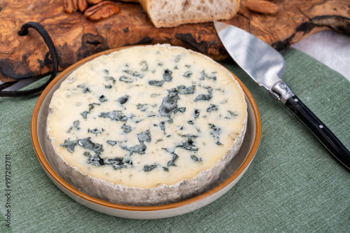 Cheese collection, piece of French blue cheese auvergne or fourme d'ambert photo