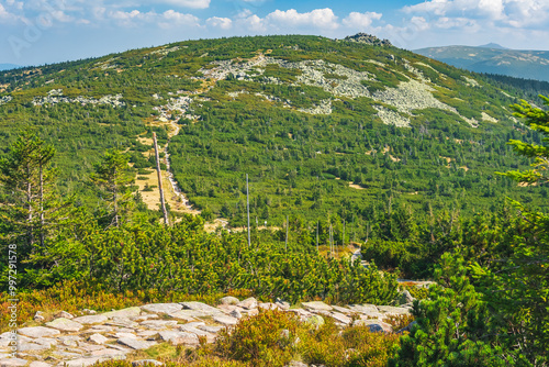 Fototapeta Naklejka Na Ścianę i Meble -  Karkonosze Mountains, Western Sudetes, mountain landscape from hiking trail with view of Czeskie Kamienie mountain peak. Rocky path with lush green alpine vegetation.