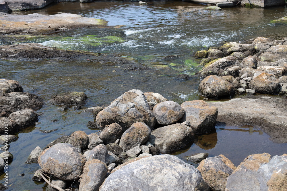 rocks above small rapids in shallow river