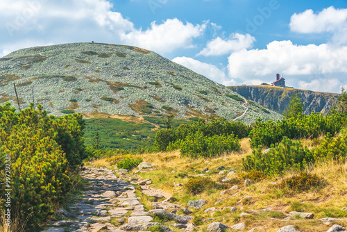 Fototapeta Naklejka Na Ścianę i Meble -  Karkonosze Mountains, Western Sudetes, mountain landscape on the hiking trail with a view of the Wielki Szyszak peak, rocky path with green alpine vegetation on a summer sunny day.