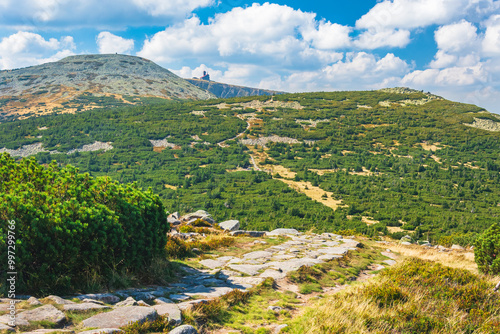 Fototapeta Naklejka Na Ścianę i Meble -  Karkonosze Mountains, Western Sudetes, mountain landscape on a hiking trail with a view of the Smielec peak and Wielki Szyszak. Green alpine vegetation on a summer sunny day.