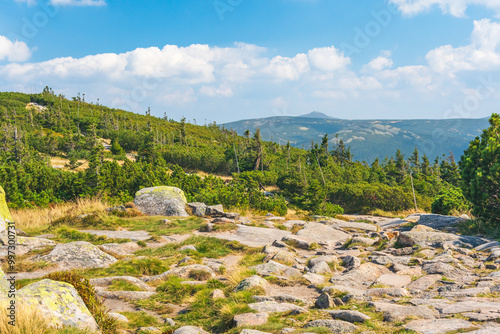 Fototapeta Naklejka Na Ścianę i Meble -  Karkonosze Mountains, Western Sudetes, mountain landscape on a hiking trail with a view from the Slaskie Kamienie peak. Rocky path, green alpine vegetation on a summer sunny day.