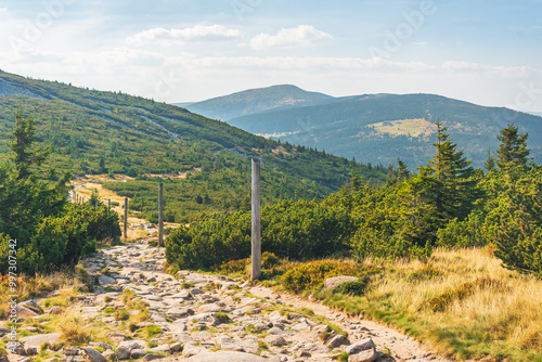 Fototapeta Naklejka Na Ścianę i Meble -  Karkonosze Mountains, Western Sudetes, mountain landscape on a hiking trail, rocky path between alpine vegetation leads to the top of the mountain, view on a summer day.